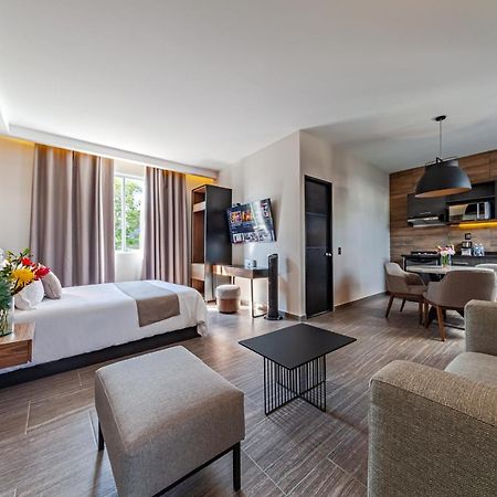 Casa Nou Hotel Mexico City Luaran gambar